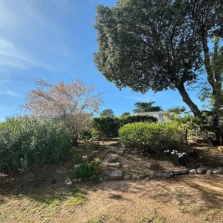 La Passiflore Saint-Raphael (Var)