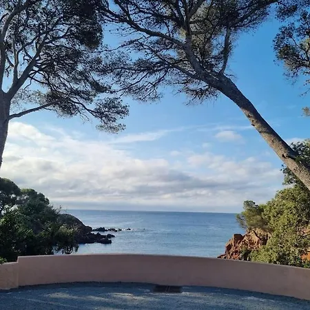 La Passiflore * Saint-Raphael (Var)