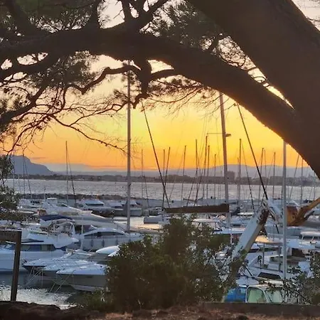 La Passiflore Saint-Raphael (Var)