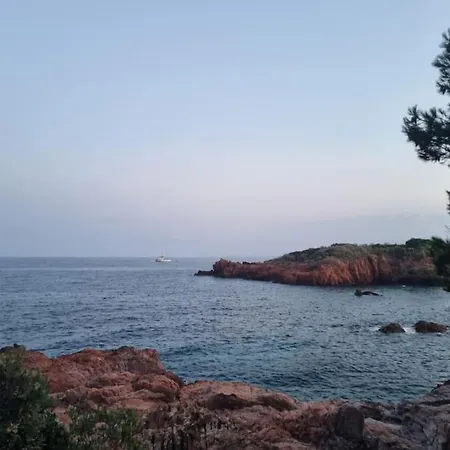 La Passiflore * Saint-Raphael (Var)